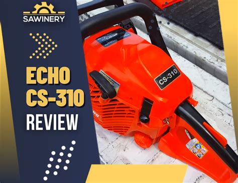 echo 310 review